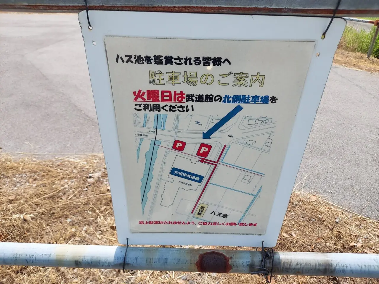 ハナハス
