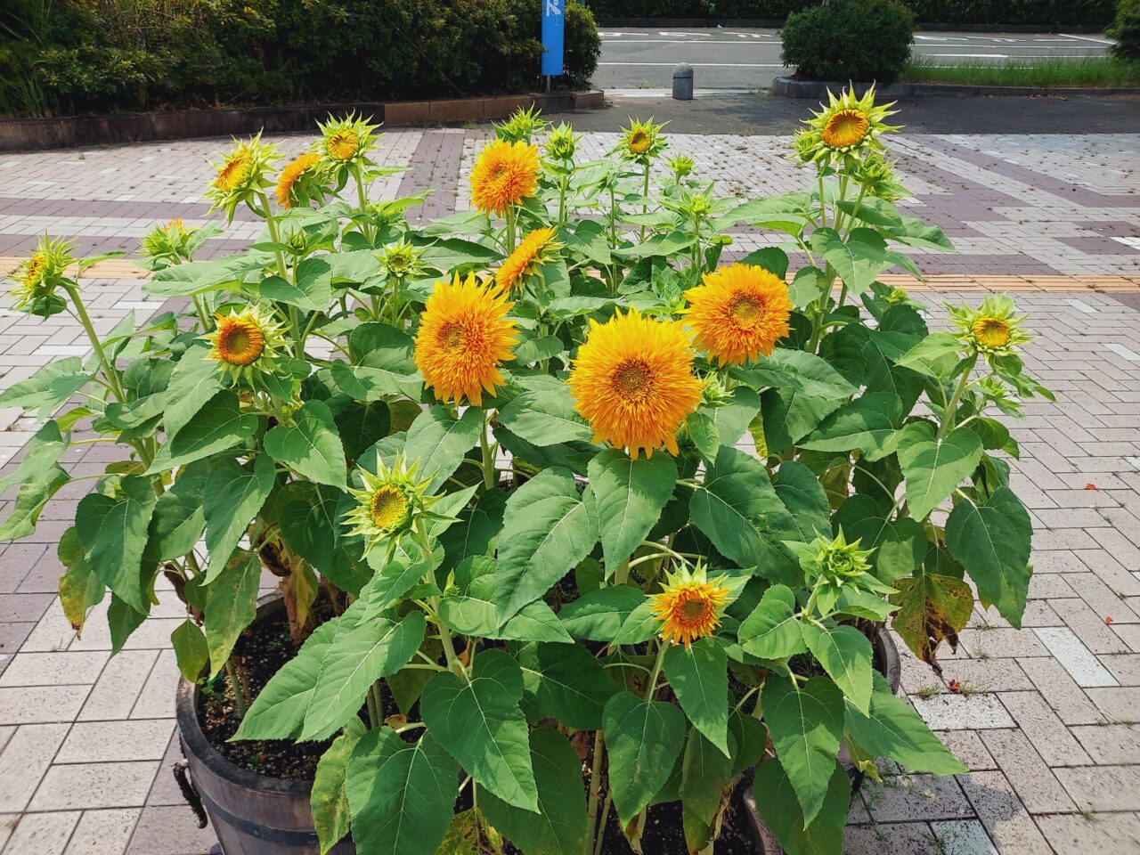 木曽三川公園センター