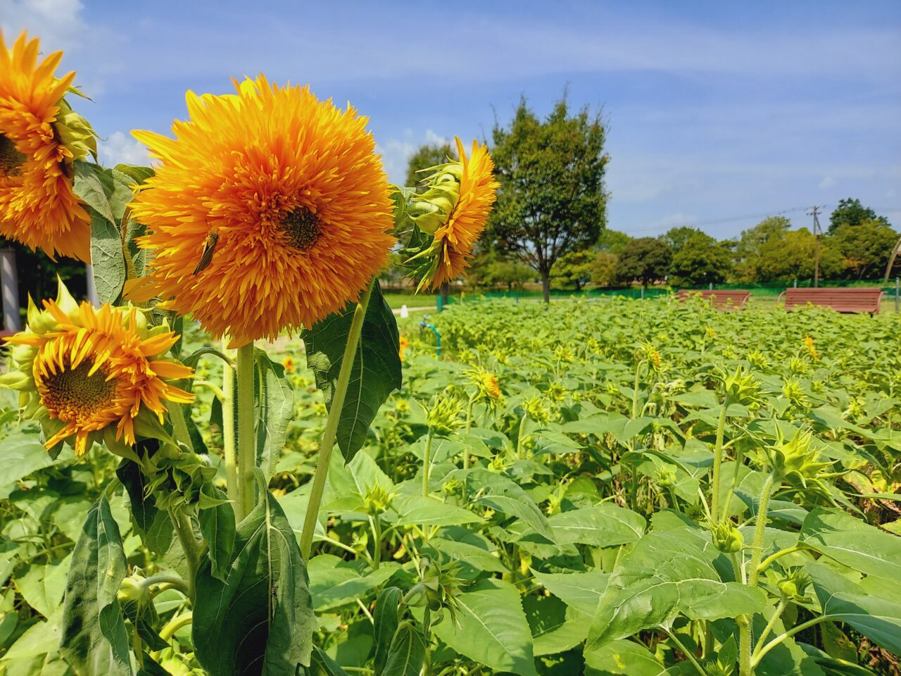 木曽三川公園センター