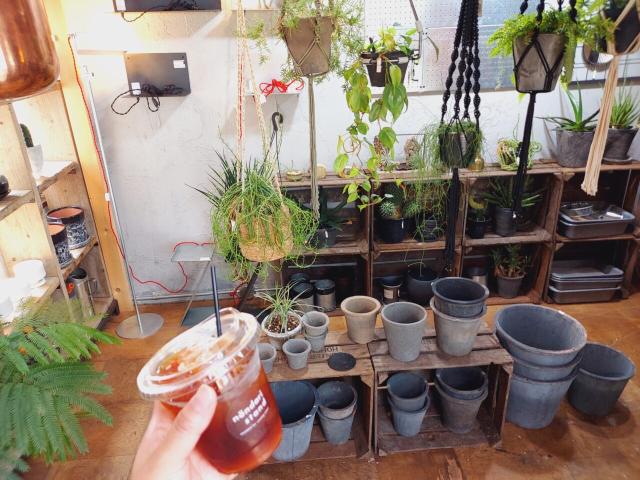 ノンダリスタンド