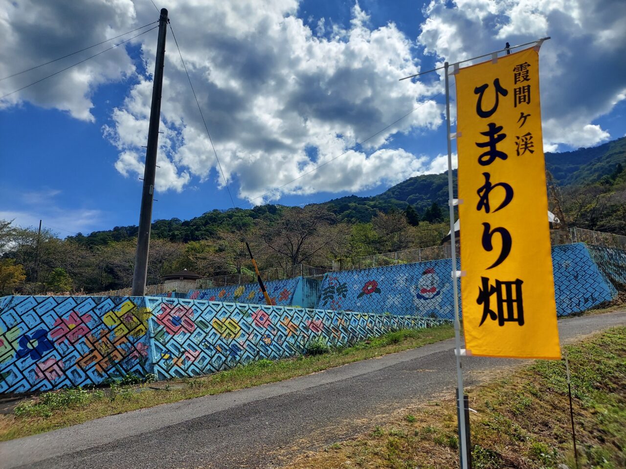 霞間ケ渓ひまわり