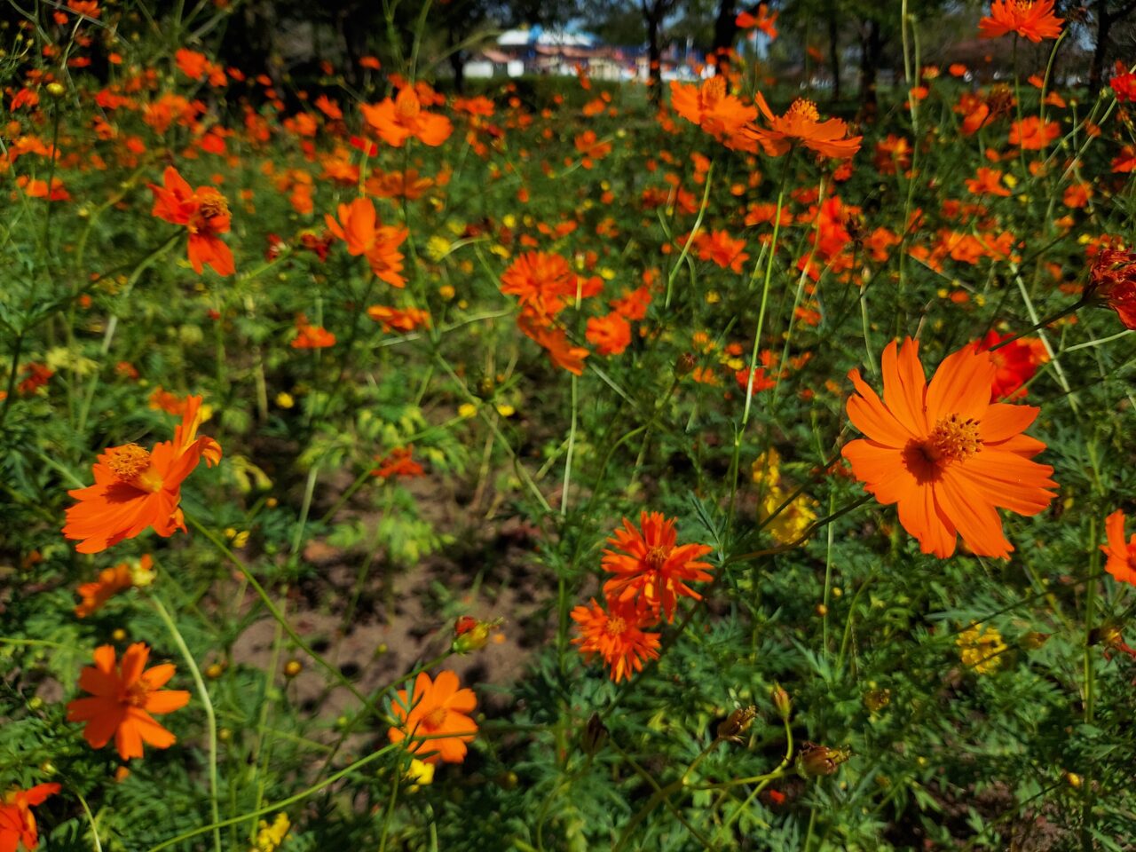 木曽三川公園センター