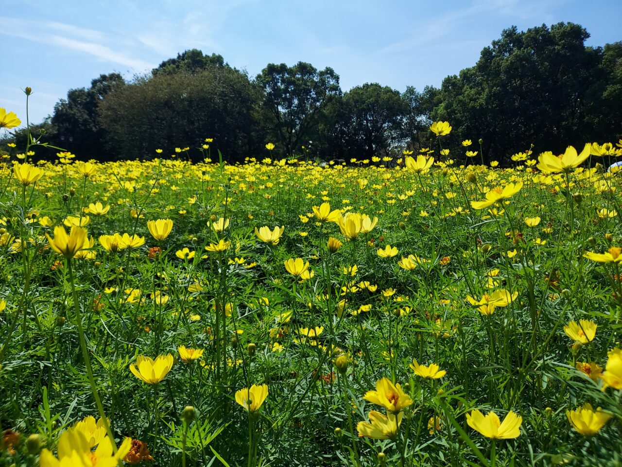 木曽三川公園センター