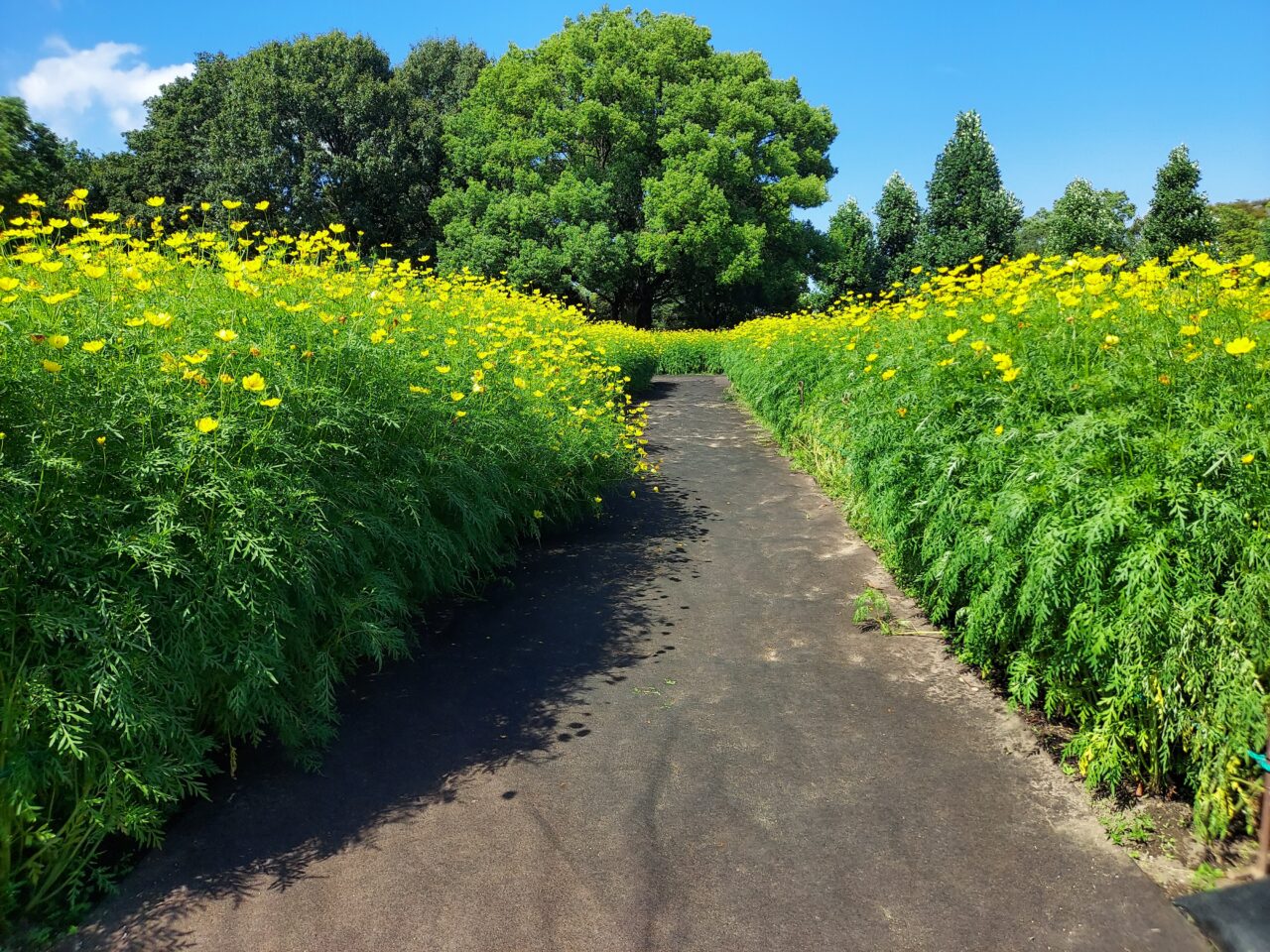 木曽三川公園センター