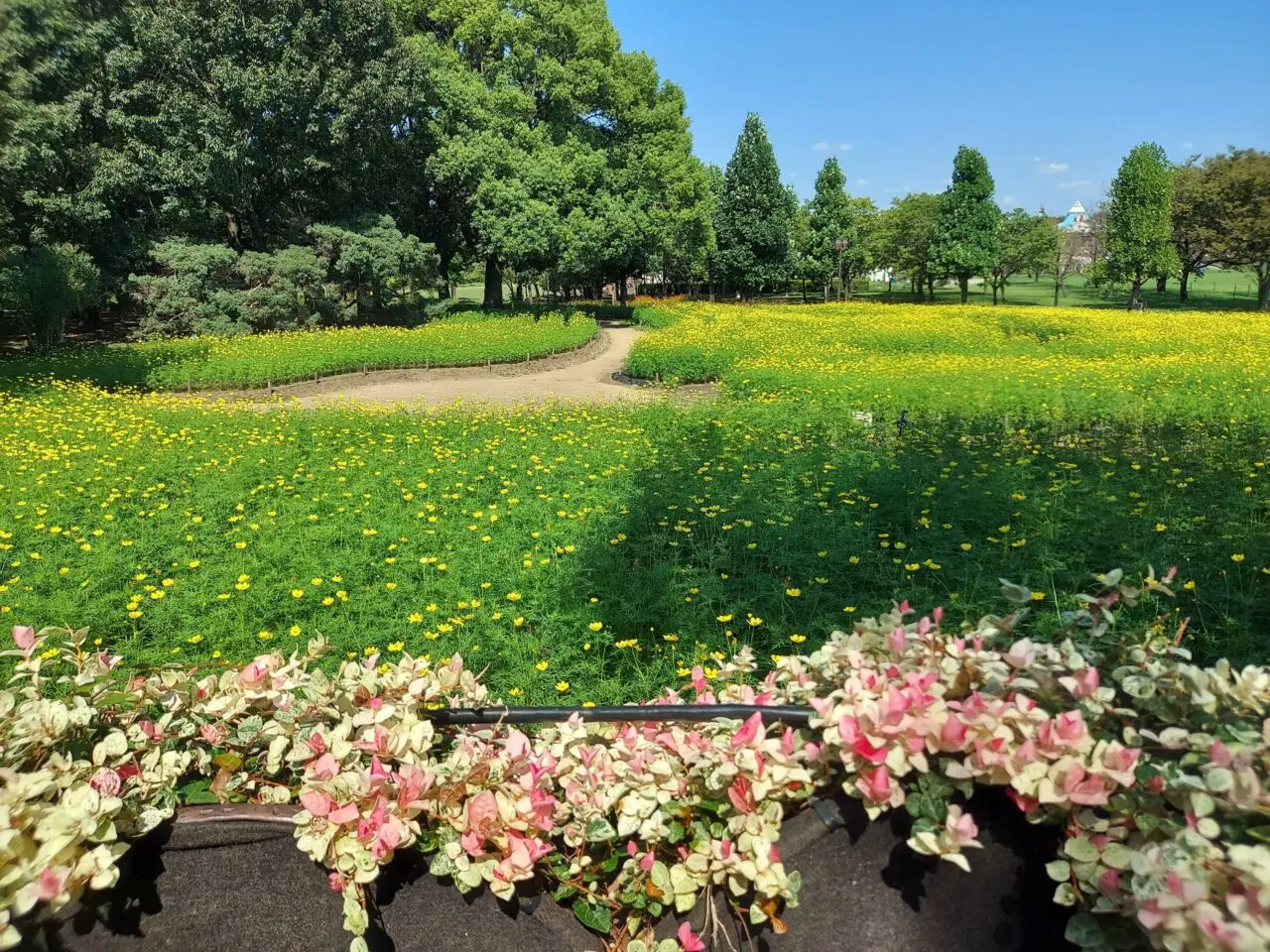 木曽三川公園センター