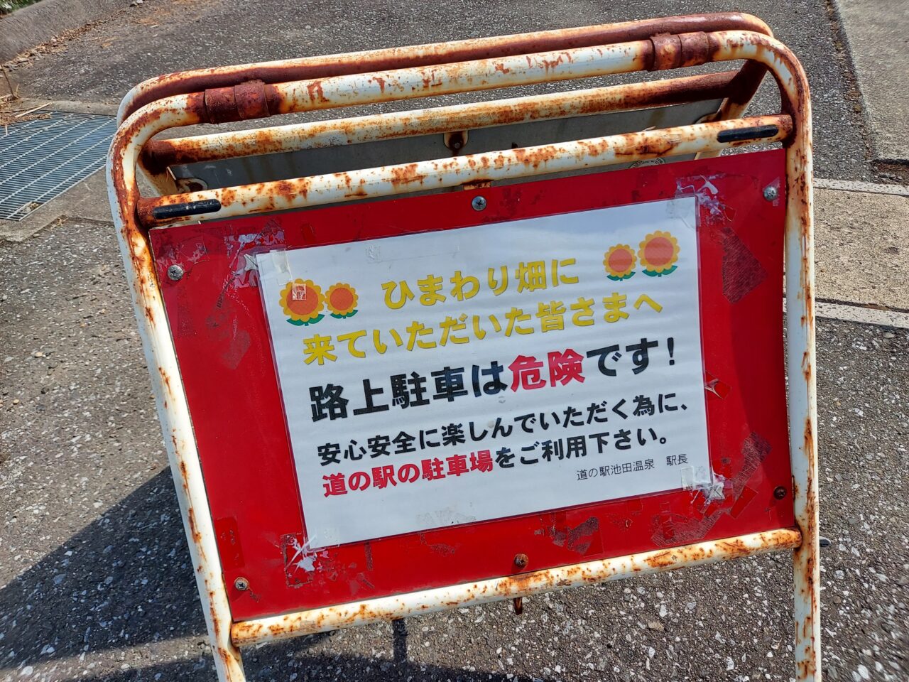 池田町片山北区ひまわり畑