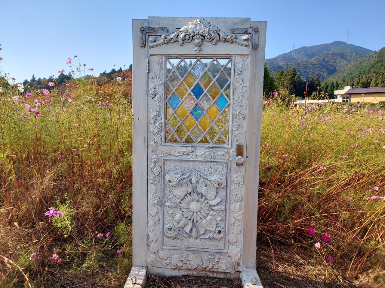 関ケ原コスモス畑