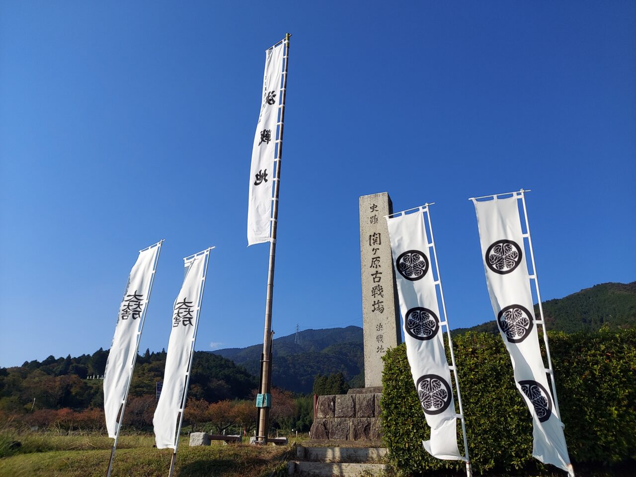 関ケ原コスモス畑