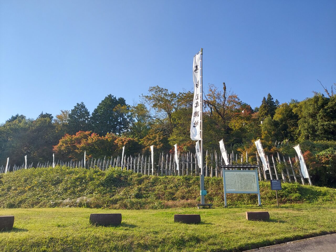 関ケ原コスモス畑