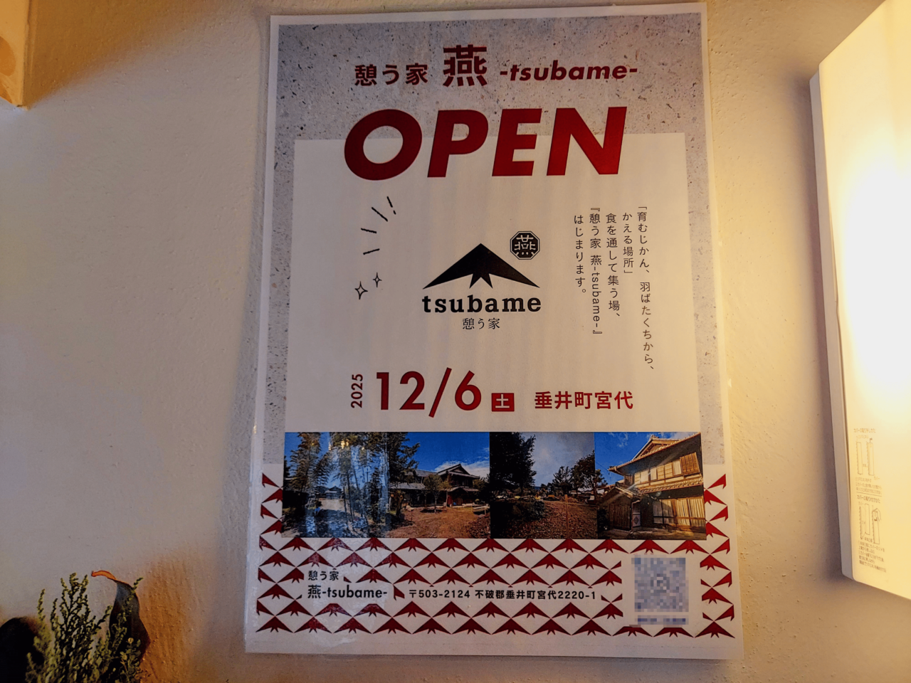 はごろも発酵食堂