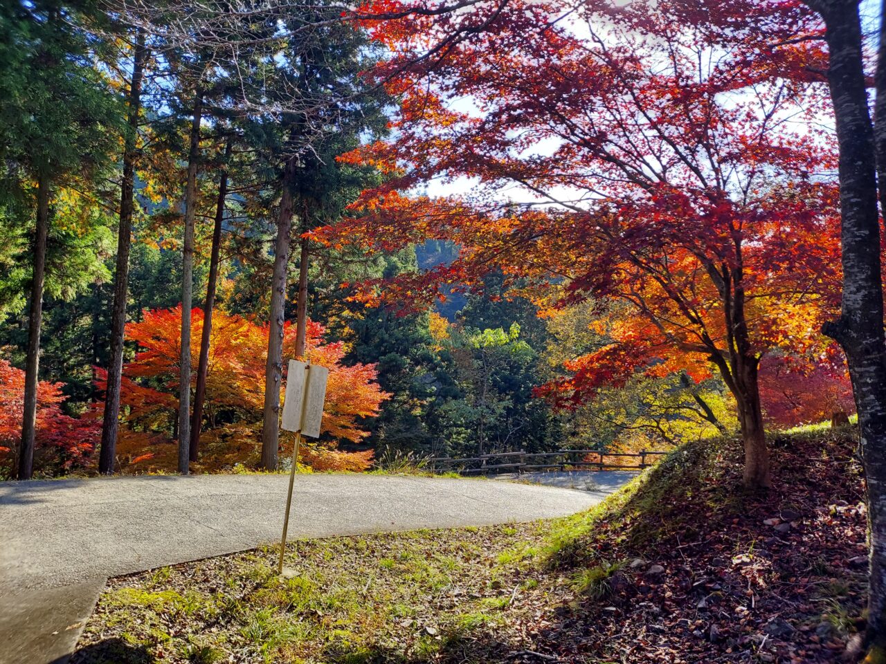 多良峡森林公園