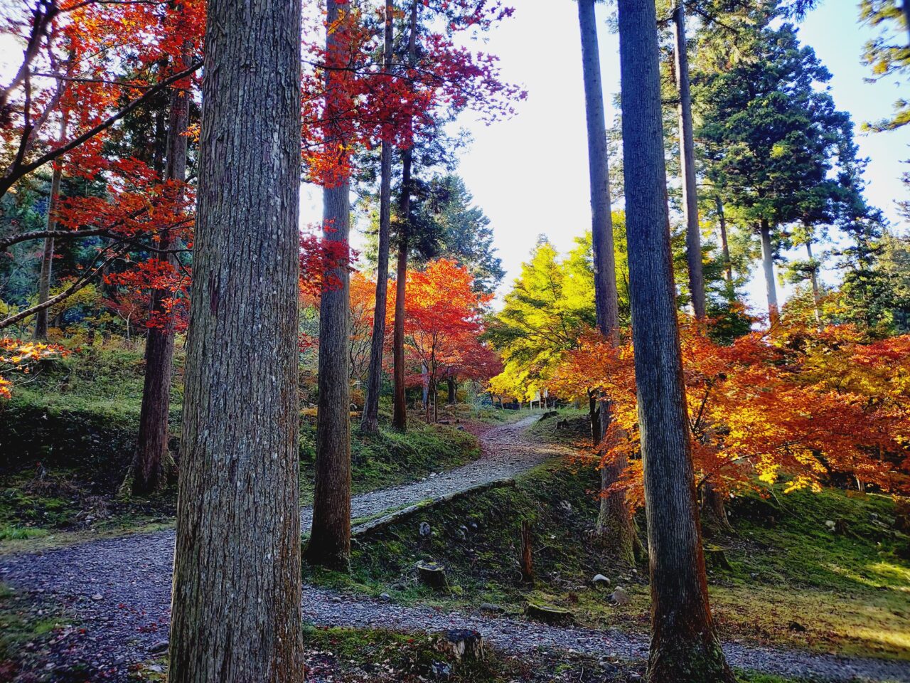 多良峡森林公園