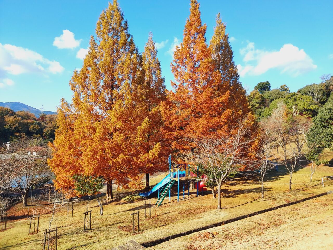 大垣市かみいしづ緑の村公園