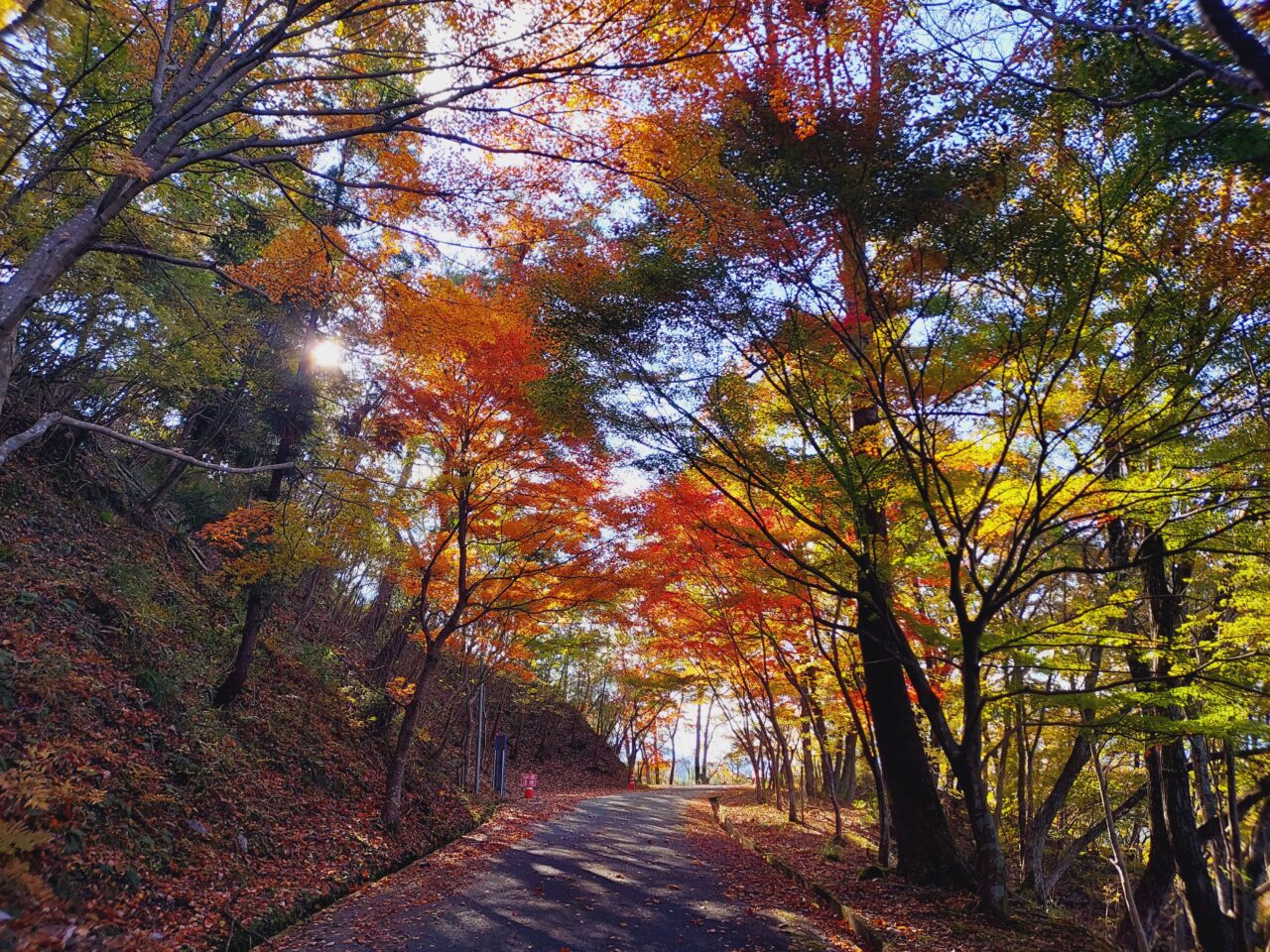 大垣市かみいしづ緑の村公園