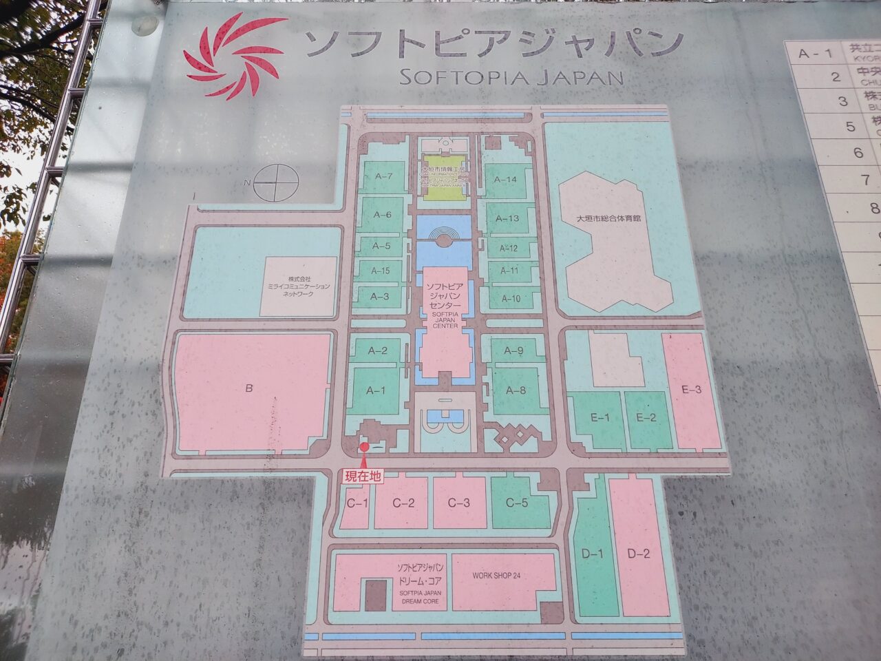 ソフトピアジャパンメタセコイヤ並木