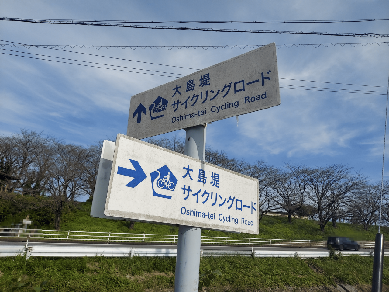 大島堤サイクリングロード