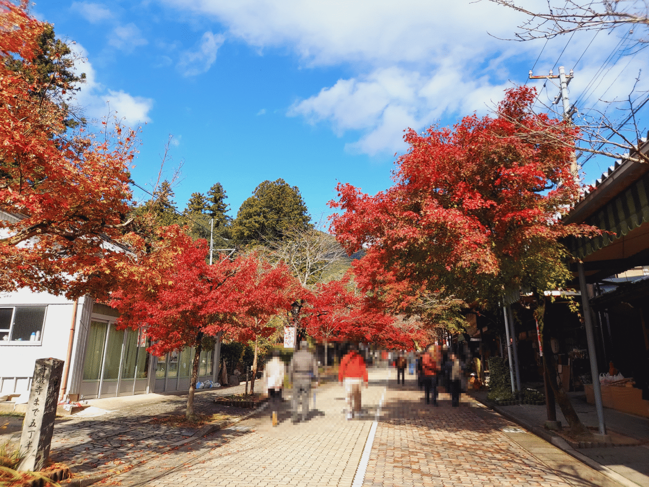 谷汲山華厳寺紅葉