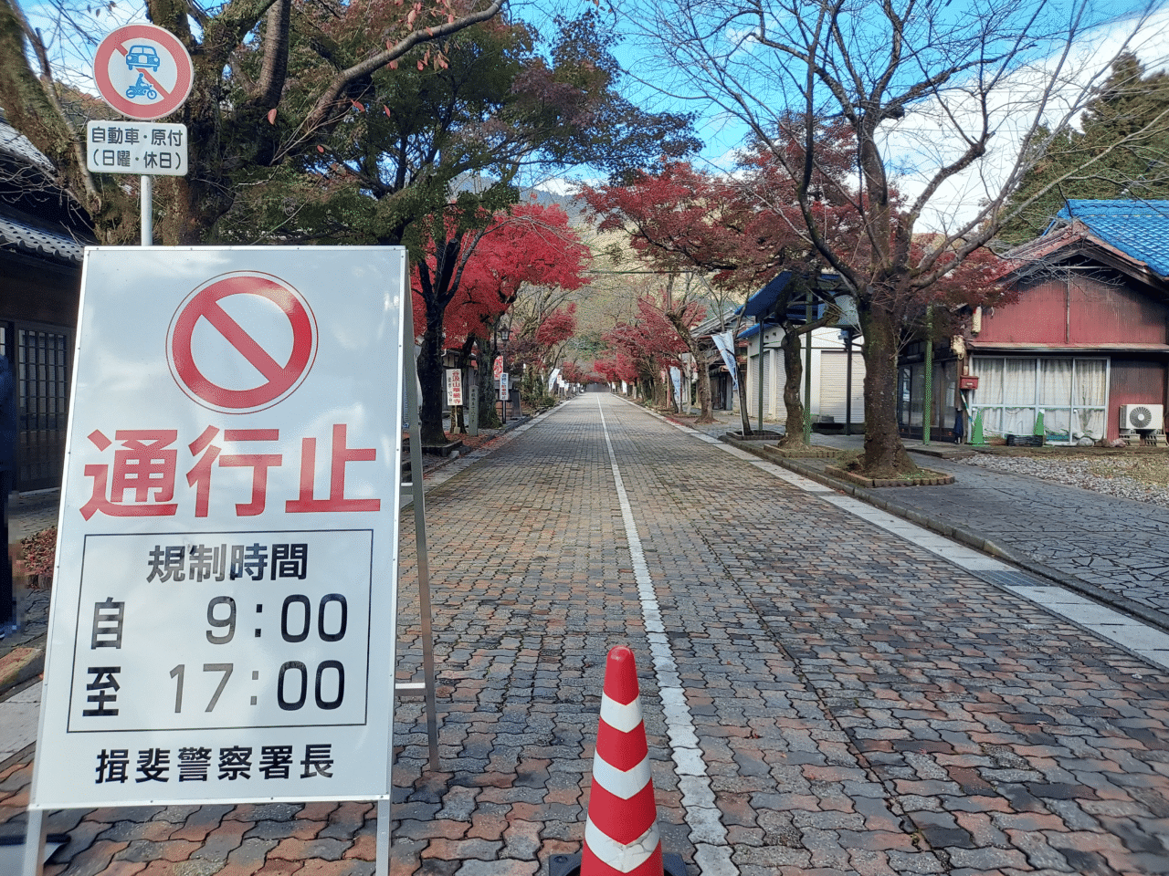 谷汲山華厳寺紅葉