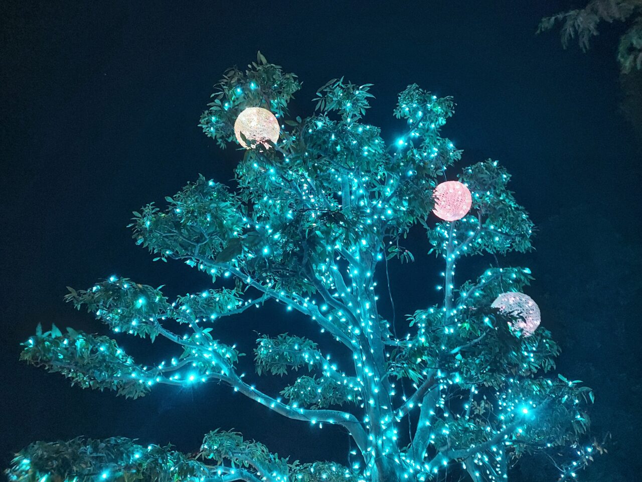 ソフトピアジャパン「冬のファンタジー」