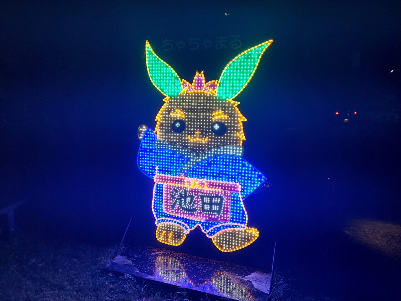 道の駅池田温泉のイルミネーション