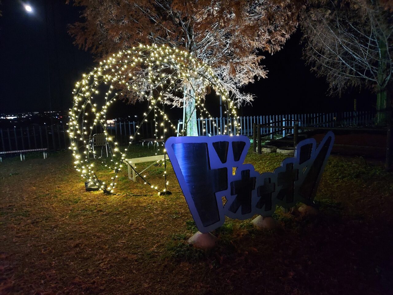 道の駅池田温泉のイルミネーション