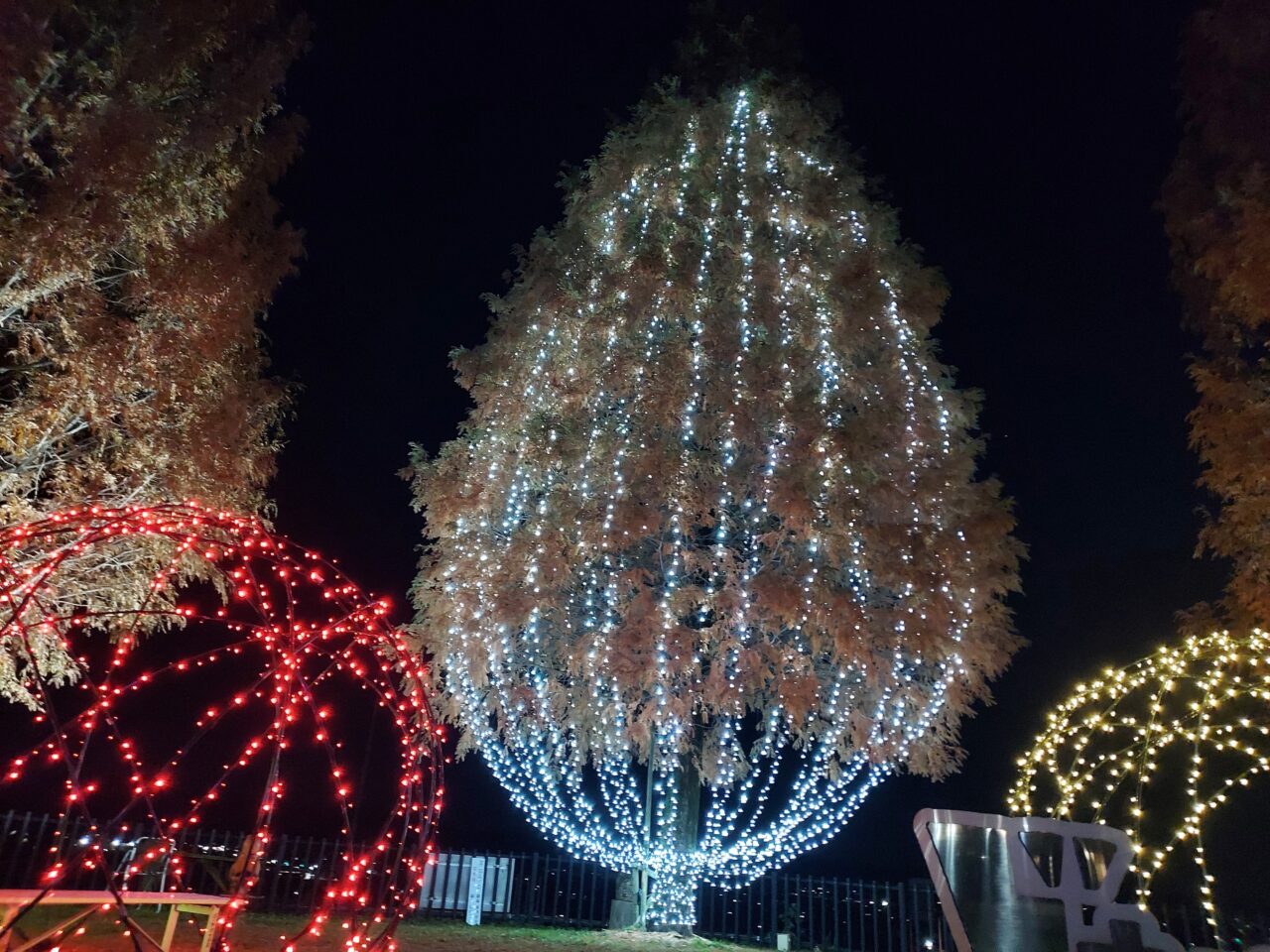 道の駅池田温泉のイルミネーション