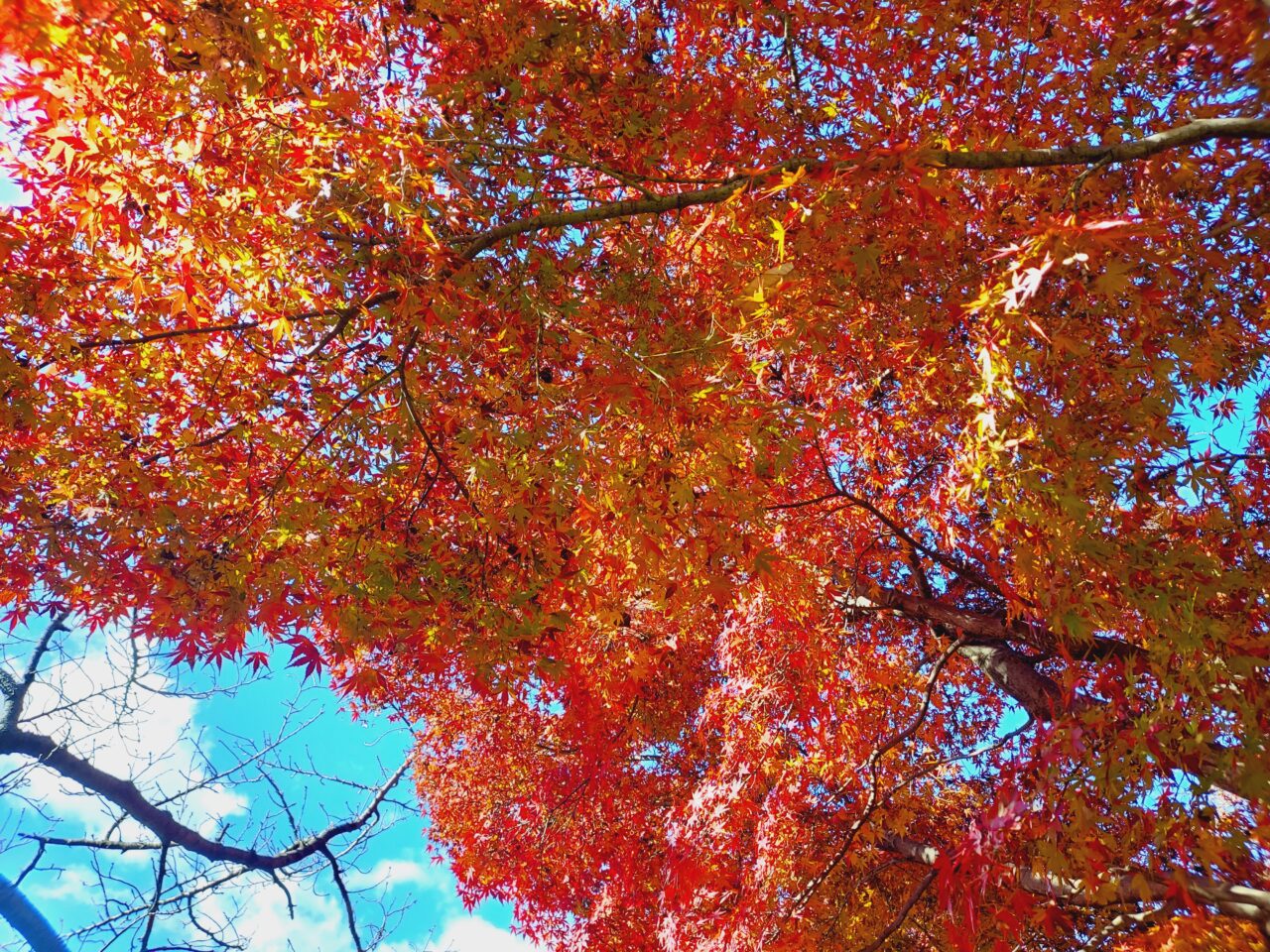 大垣東公園