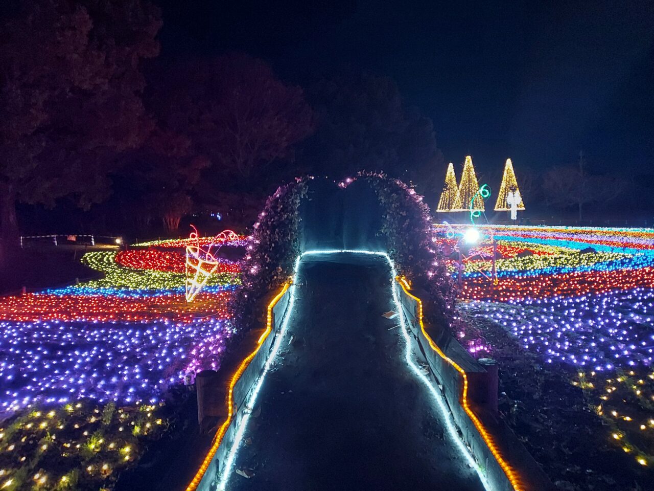木曽三川公園センター イルミネーション