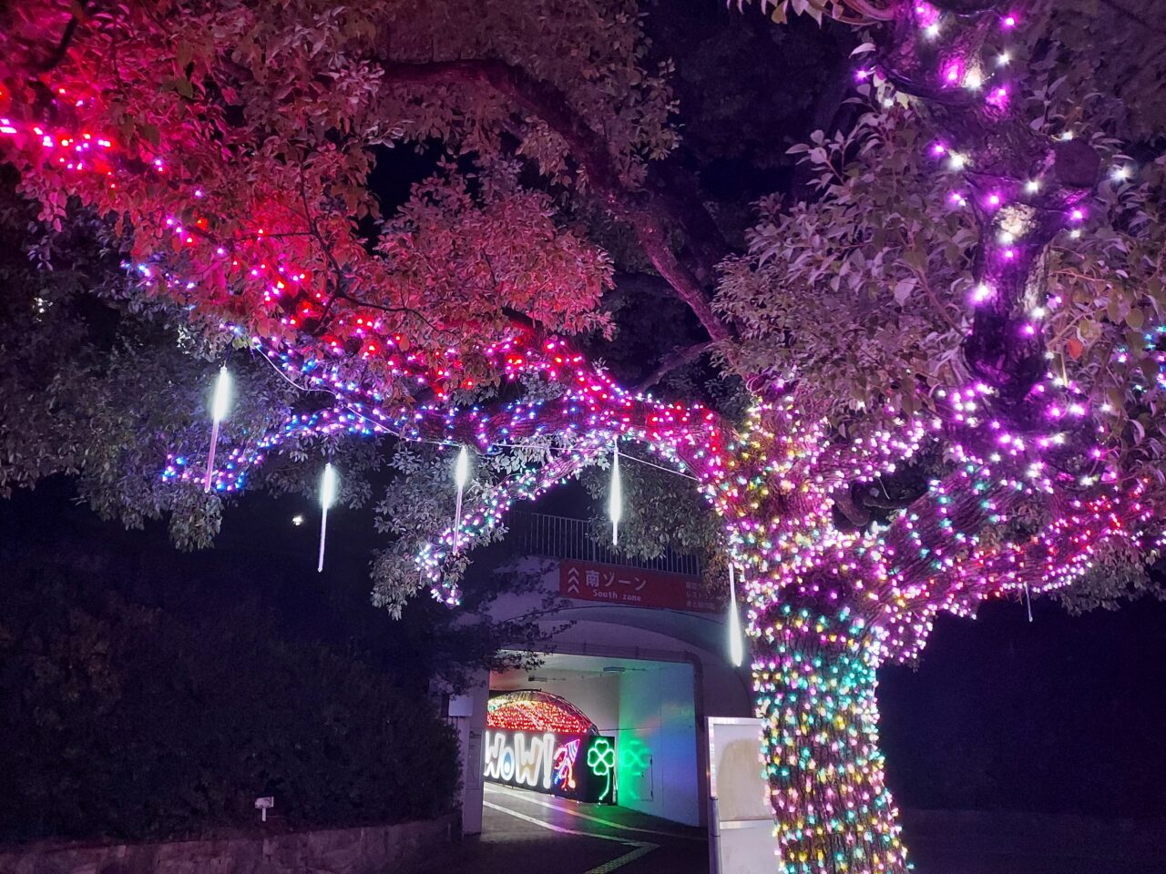 木曽三川公園センター イルミネーション