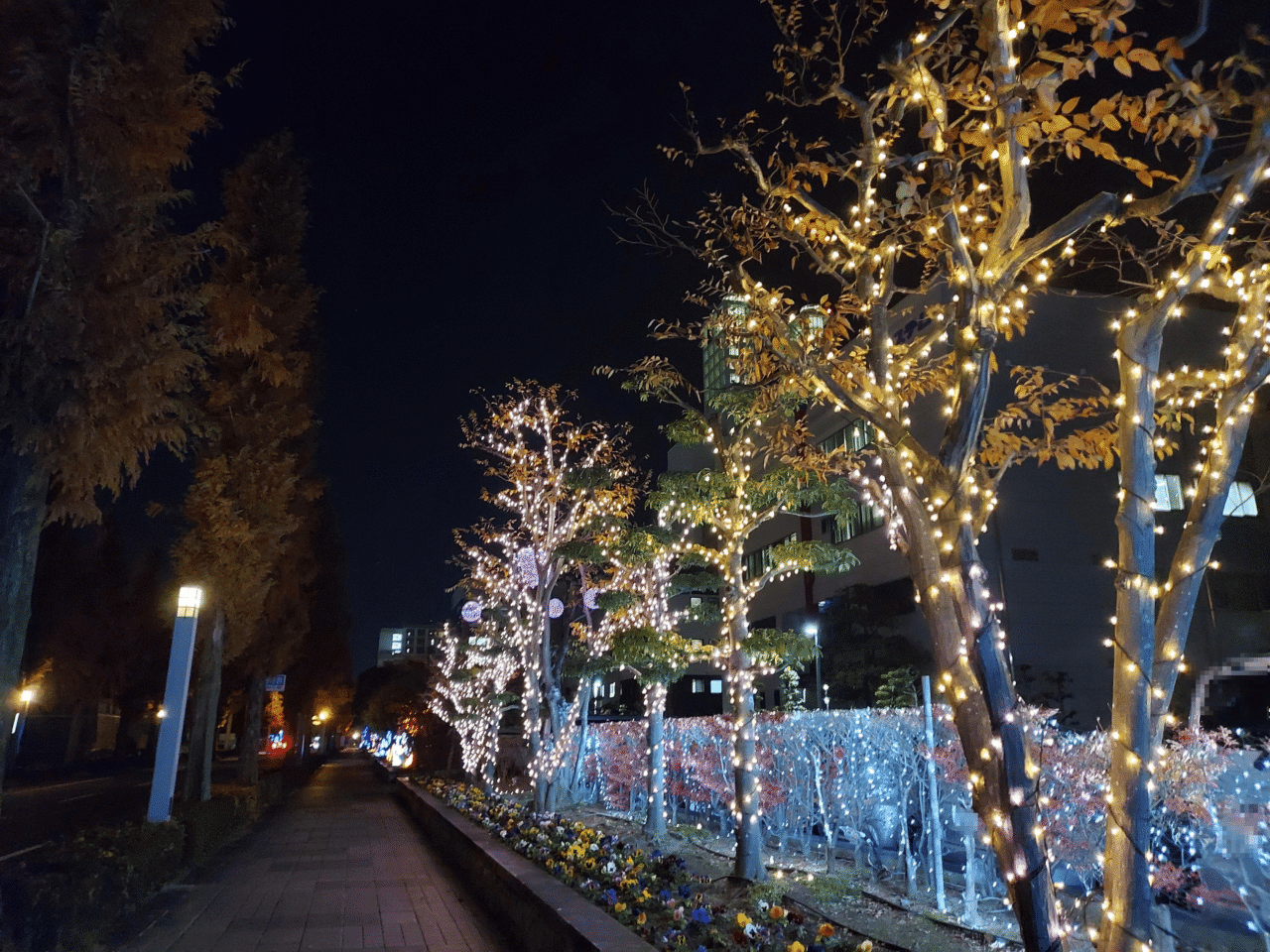 ソフトピアジャパン「冬のファンタジー」