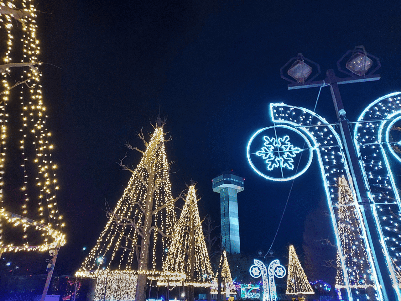 木曽三川公園センター イルミネーション