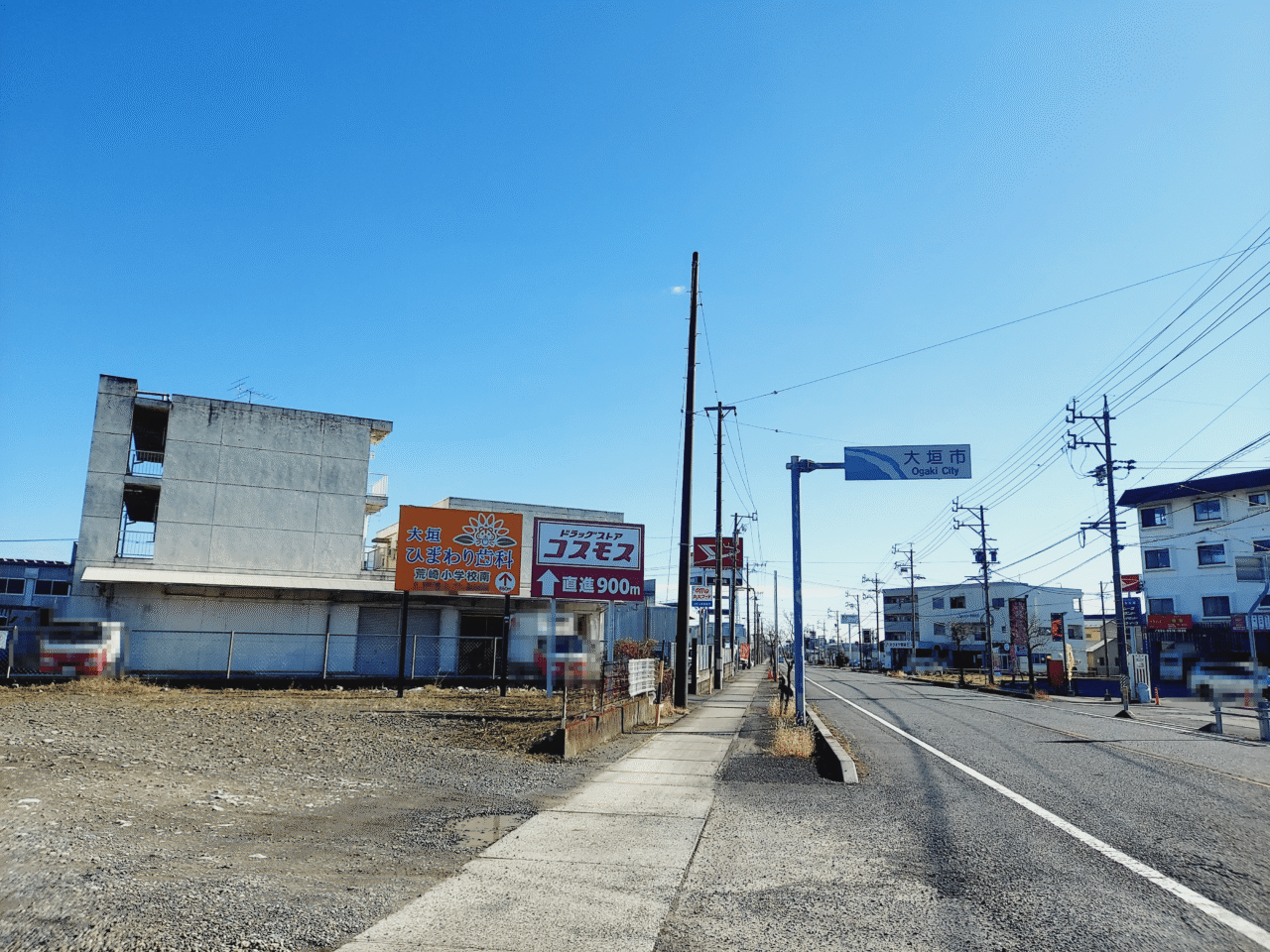 丸大フード歳末大感謝セール