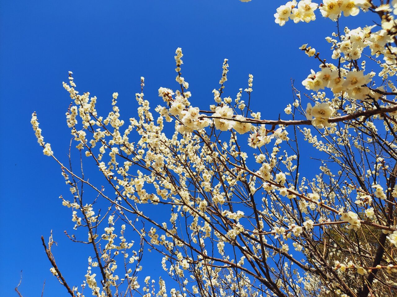 木曽三川公園センター