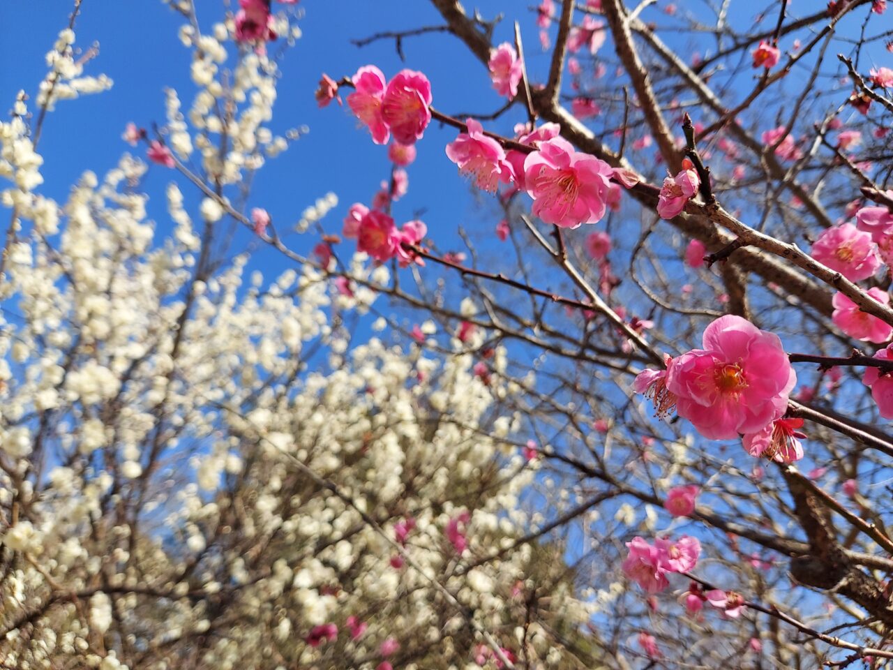 木曽三川公園センター