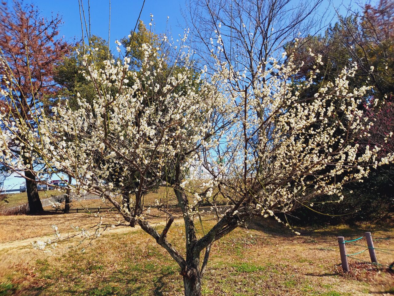 木曽三川公園センター