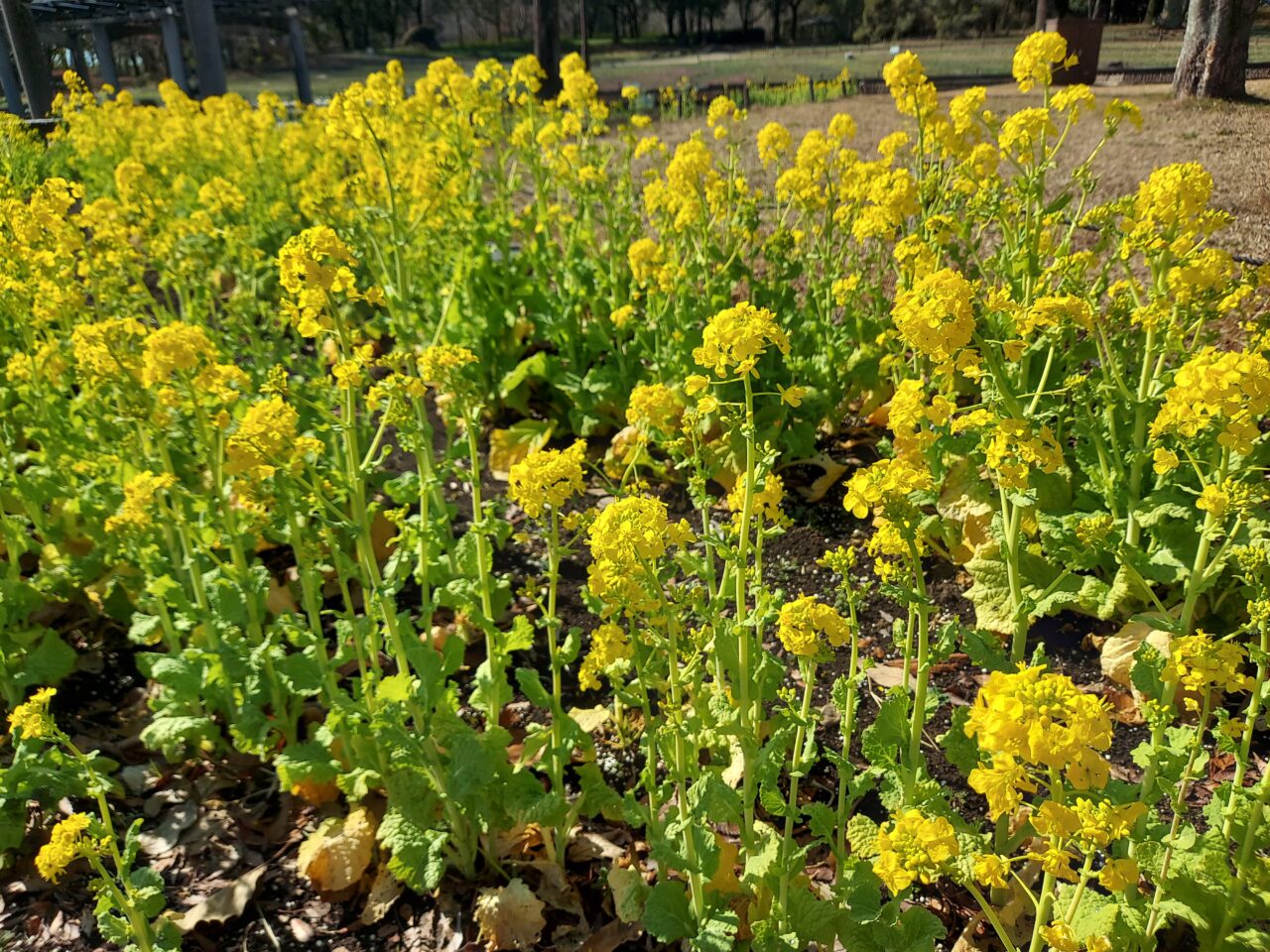 木曽三川公園センター