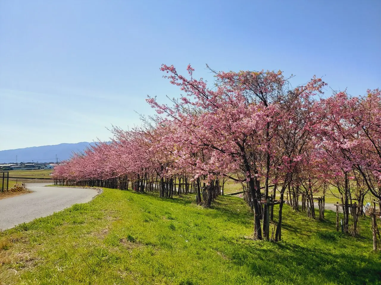 杭瀬川スポーツ公園