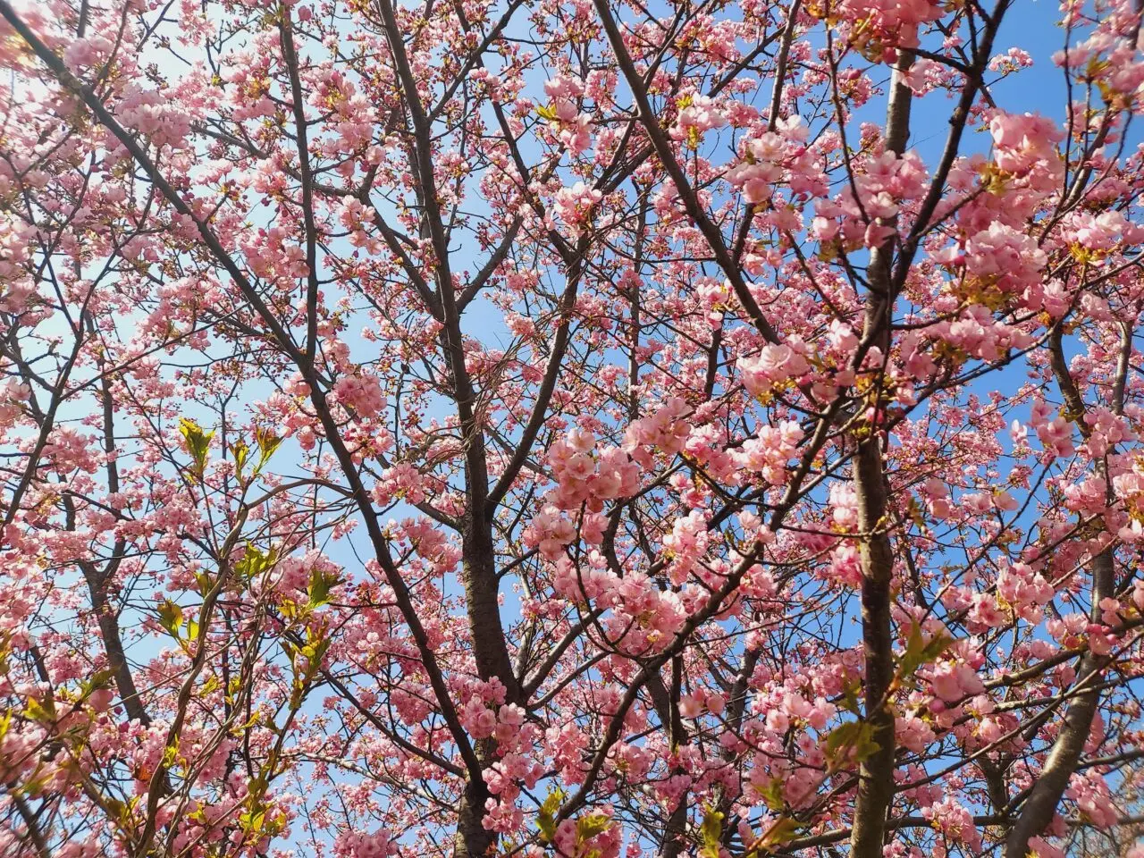 杭瀬川スポーツ公園