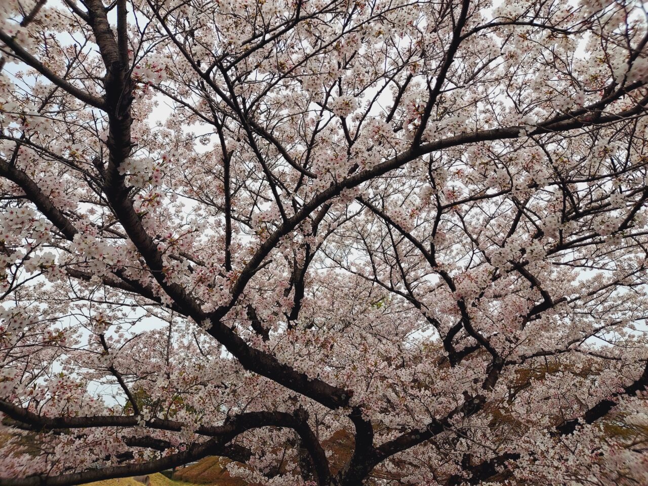 羽根谷だんだん公園