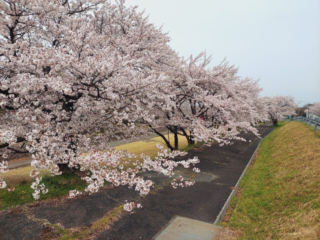 羽根谷だんだん公園