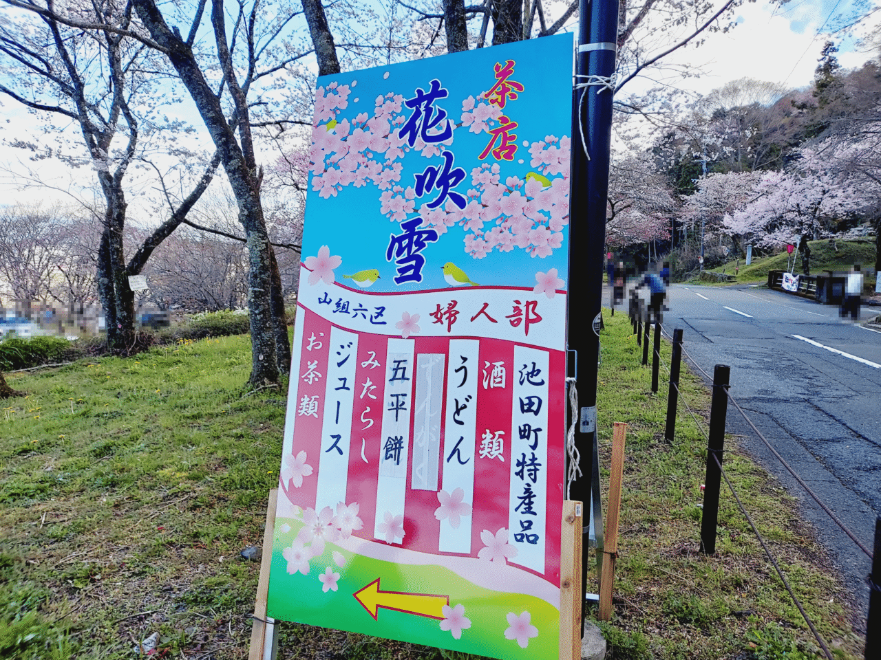 霞間ヶ渓桜