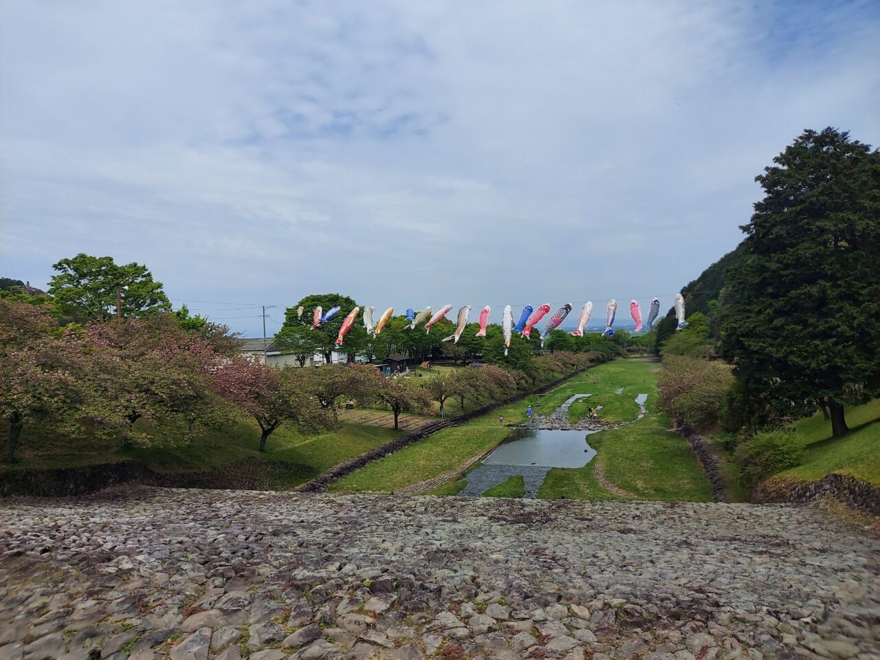 羽田谷だんだん公園こいのぼり