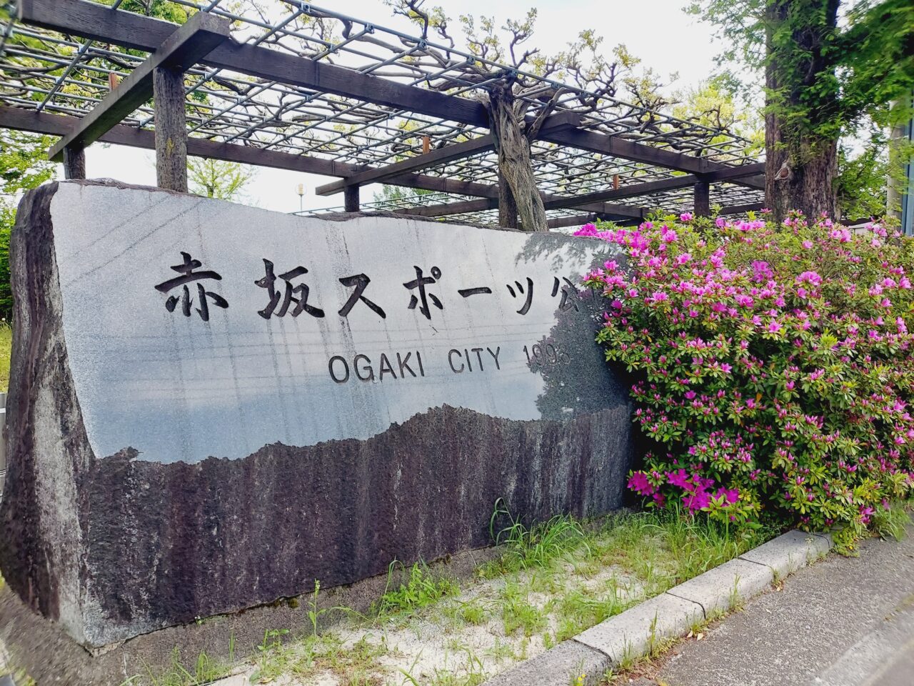 赤坂スポーツ公園藤棚