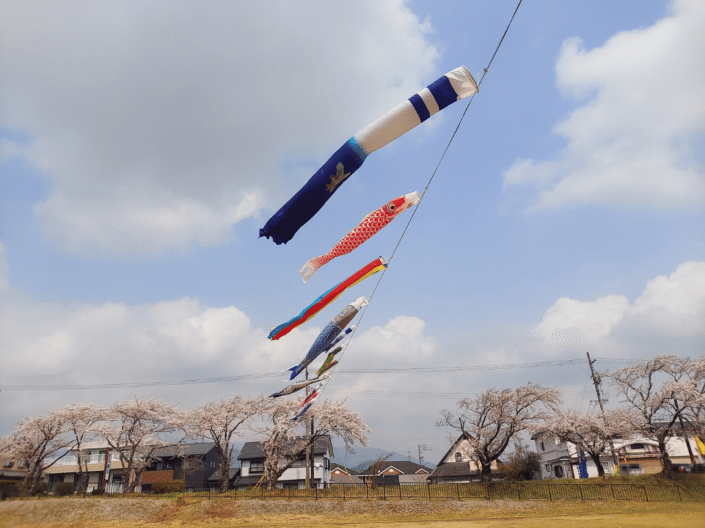 相川水辺公園相川こいのぼり2026