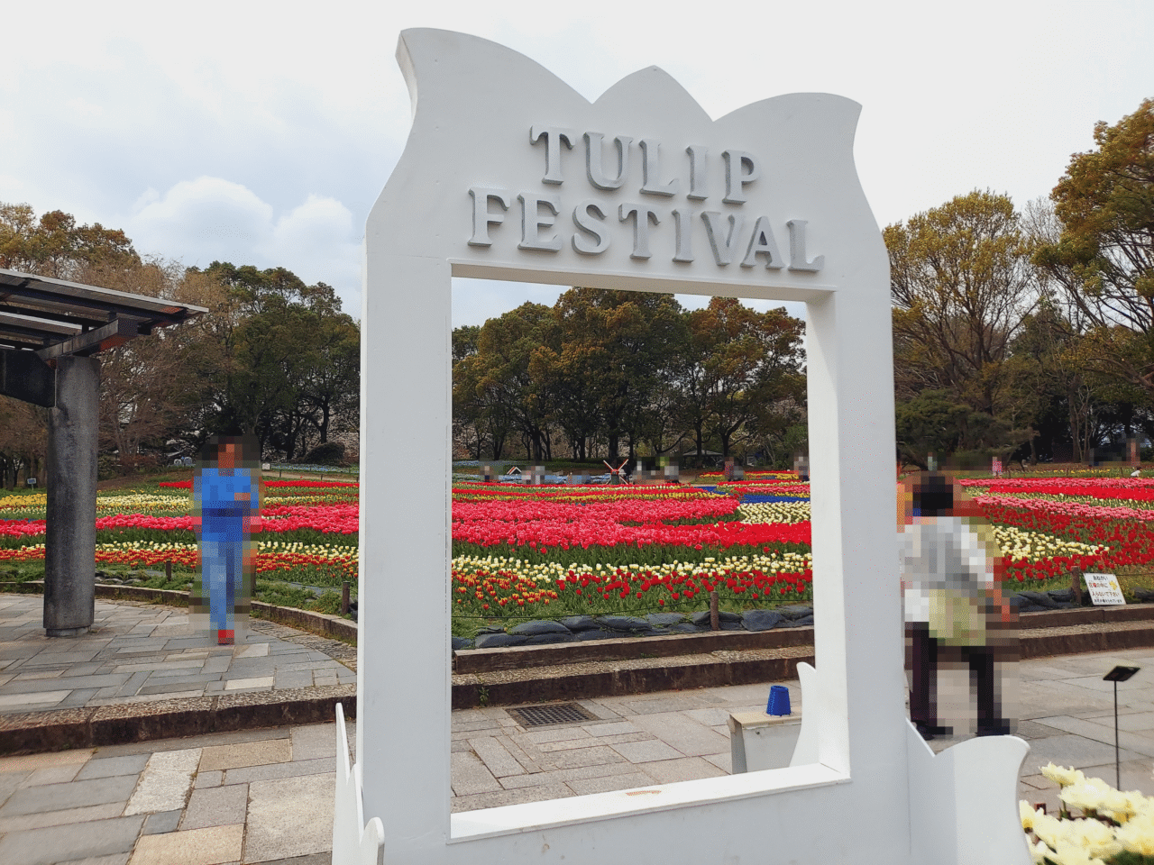 木曽三川公園センターチューリップ2026