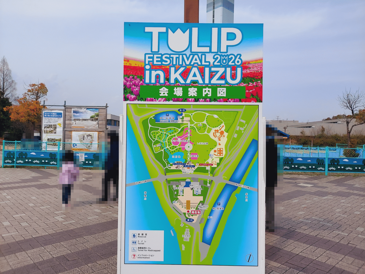 木曽三川公園センターチューリップ2026