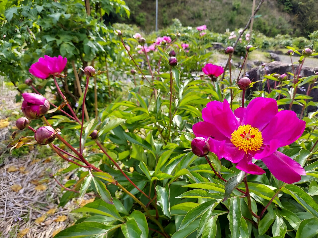かみいしづ緑の村公園