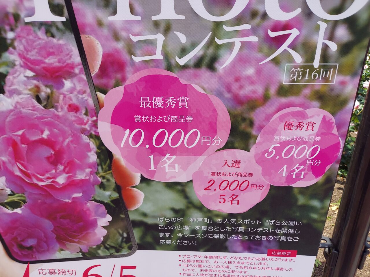 ばら公園いこいの広場Photoコンテスト