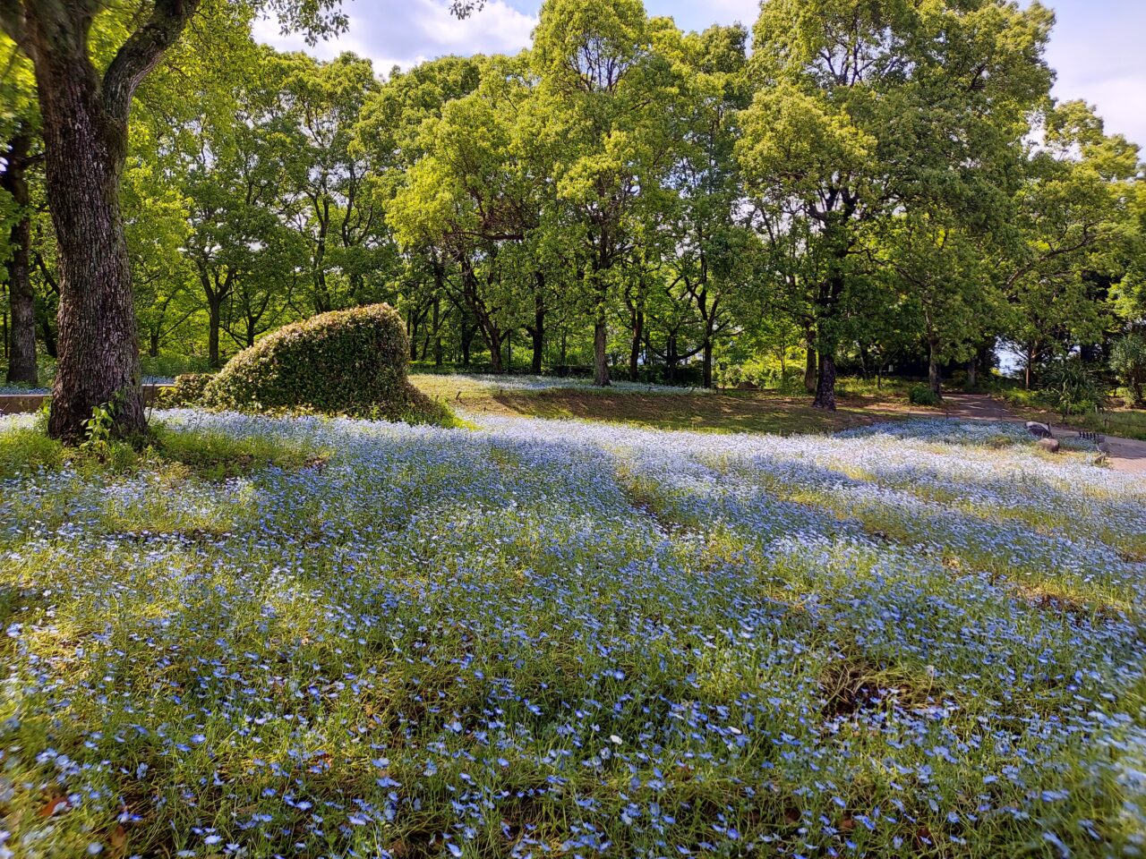 木曽三川公園センター