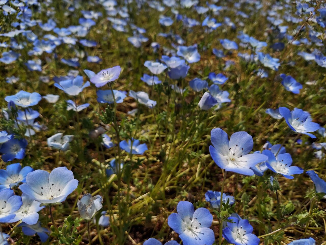 木曽三川公園センター